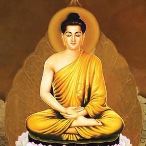 Meet your Posher, Pauline